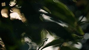 Summer's Gone 14 - Dive into Anime Temptation