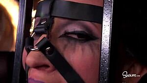 i saw sex monstas kissa sins johnny sins and lily lane threesom