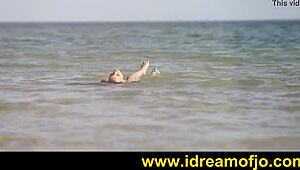 Surfs up met solo strand actie voor brunette kerel