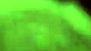 check out this close-up blowjob from a lightskin amateur