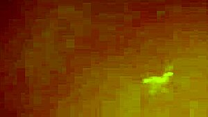 i had rich sex with cunning cougar maxim law