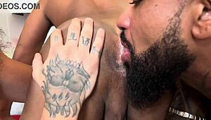 Black or white interracial gay bareback