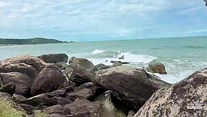Lost Kitten Getting Milk From a Stranger’s Mouth