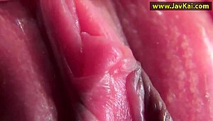 독점 일본 모델의 레즈비언 애널 액션 지금 봐!