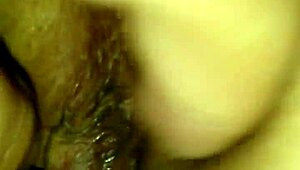 Intense Assfucking And Anal Action In Kvid0159