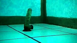 la pandita recibe el año caliente con su juguete favorito