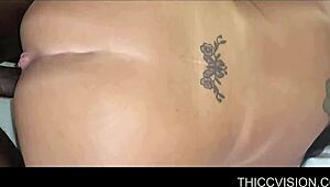 Brunette BBW Feels Ecstasy From Big Black Cock In Hotel