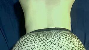 Трах большой жопы и конча в рот POV