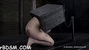 free sadomasochism sex stories with spanking and sucking