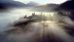 Fantasy Baremaidens - The Campire