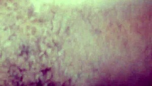 Boxing event featuring skilled fighters