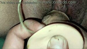 Neighbor swallows gift without hesitation!