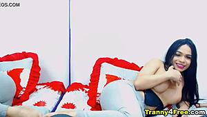 Gorgeous Slender Shemale Dayamhotts Stuns In Wild Action