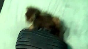 POV doggystyle bøjet over på stort seng, latina milf webcam netbook