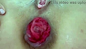 Destroyed Anal with Juicy Prolapse in Extreme Close-Up Amateur Play