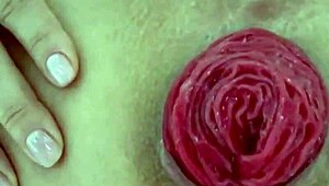 Destroyed Anal with Juicy Prolapse in Extreme Close-Up Amateur Play