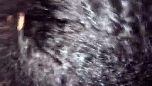 yellowbone slut cheating in the hood