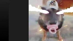 Osu Standard Spilling Med Hechizeros Band Og Koji Kondo Mashup