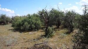 Savannah Vixen Hints at Mature Outdoor Escapades