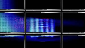 Tampa University Entrance Physical