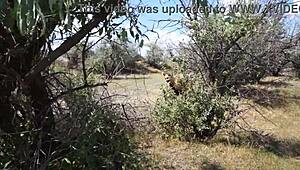 Savannah Vixen Hints at Mature Outdoor Escapades