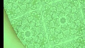 I Love Bondage Hard Sex Only With Big Cocks!