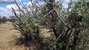 Savannah Vixen Hints at Mature Outdoor Escapades