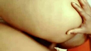 sundaydogood614 update 191 may 09 2024