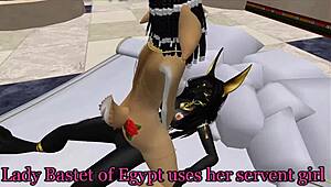 how to train slave in shemale blowjob and bdsm