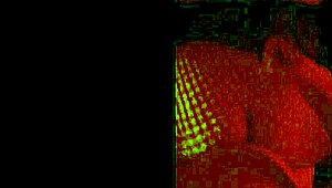 Excited kanedamaaka ruins my leggings playfully.