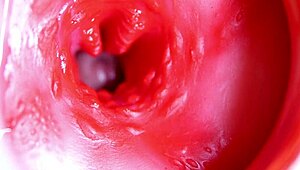 Big red cock in juicy hole ready to cum