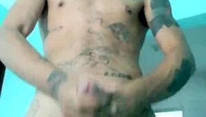 Magrinho mostrando seu bom brinquedo na sala de casa