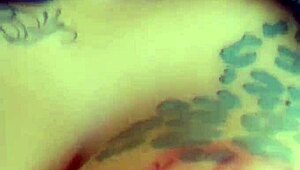 oh no, blackvelvet got caught playing with kitty