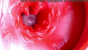Big red cock in juicy hole ready to cum