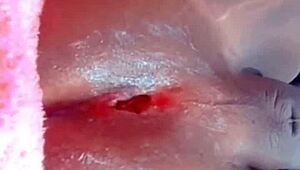 Trans Individual Enjoys Toys and Anal Play