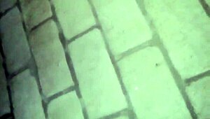 Morena 19 Años Prostitute Description