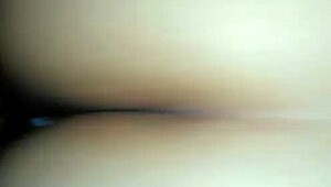 i'm from guanajuato with a nice ass, and i love showin it off