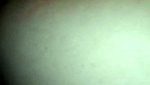 i'm from guanajuato with a nice ass, and i love showin it off