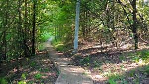 phone vlog turns into a risky quickie bj in public park, oops