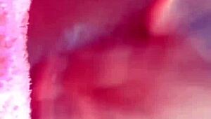 Trans Individual Enjoys Toys and Anal Play