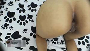 Latina amateur stepbrother fucks and creampies anal with monster cock in homemade story