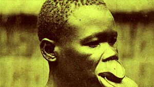 Vintage erotične izpovedi viktorijanskega gospoda