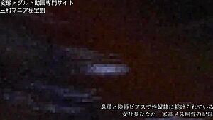 Japanese Slave Hinata Endures BDSM Punishment