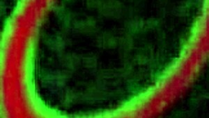 Horny blonde pawg natalie moore bends over for monster cock