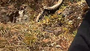 Chubbykaot in the forest again, stroking solo!