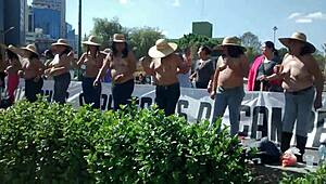 i captured this amateur video on january 7, 2015