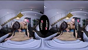 shemale bitches fighting for a cock 😈