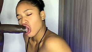 she sucks a big black cock eagerly