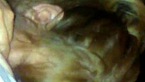 Watch kimberlie suck that monster cock? It's huge!