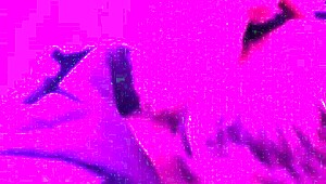 Wife Shares Intimate Moment